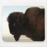 Buffalo Head art Albert Bierstadt bison painting Mouse Pads