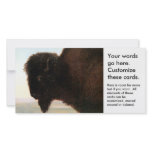Buffalo Head art Albert Bierstadt bison painting photo cards