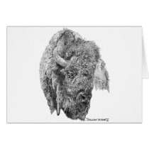 Buffalo Head Greeting Cards