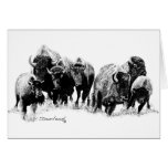 Buffalo Herd Cards
