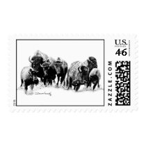 Buffalo Herd Postage Stamp