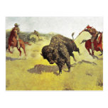 Buffalo Hunt Post Cards