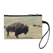 Buffalo Hunts Coin Purse
