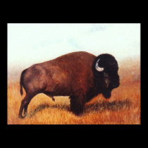 Buffalo III posters