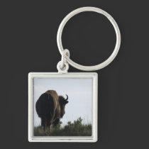 Buffalo Key Ring keychains