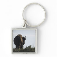 Buffalo Key Ring Keychain