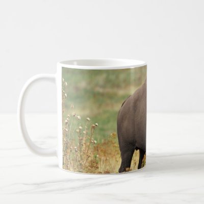 Buffalo Mug