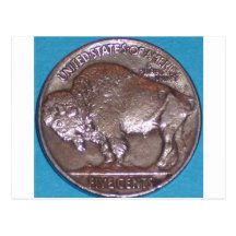 Buffalo Nickel Post Card