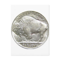 BUFFALO NICKEL POSTCARDS