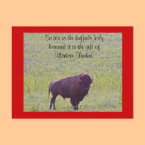 Buffalo on Lakota Lands postcards