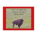 Buffalo on Lakota Lands postcards