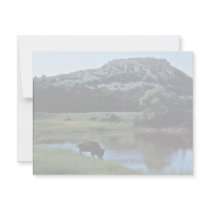 Buffalo on Wetland invitations by animalpark Buffalo on Wetland invitations