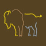 Buffalo Outline