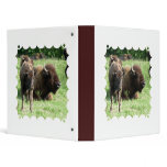 Buffalo Picture Binder