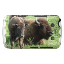 Buffalo Picture  Blackberry Bold Case