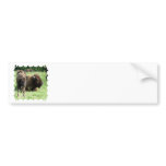 Buffalo Picture Bumper Stickers