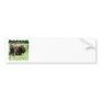 Buffalo Picture Bumper Stickers