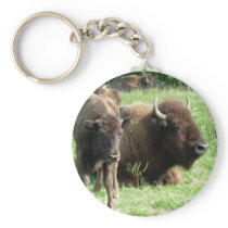 Buffalo Picture Keychain