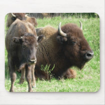 Buffalo Picture Mouse Pad 