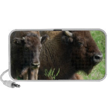 Buffalo Picture Speakers