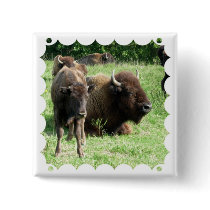 Buffalo Picture Square Pin
