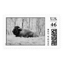 buffalo postage stamp