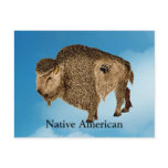Buffalo Postcard