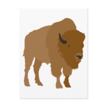 Buffalo postcards by aesthete Buffalo postcards