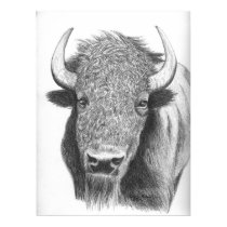 Buffalo