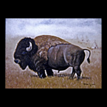 Buffalo posters