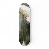Buffalo Skate Board Decks