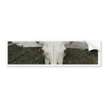 Buffalo Skull Bumper Sticker
