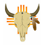 Buffalo Spirit Tshirts