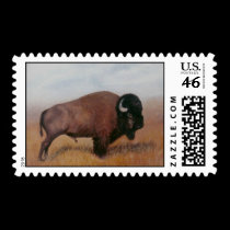 Buffalo Stamp stamps