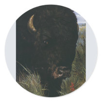 Buffalo stickers