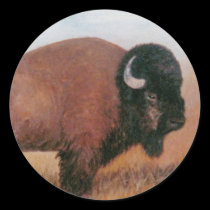 Buffalo stickers