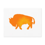 Buffalo Sun Postcards