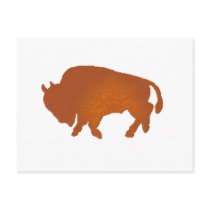 Buffalo Terra Post Cards