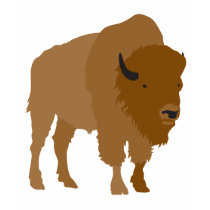Buffalo t-shirts