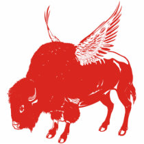 Buffalo Wings Photo Sculptures