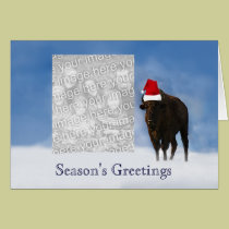 Buffalo Winter cards