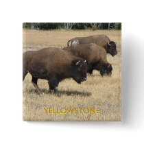 Buffalo Yellowstone Button
