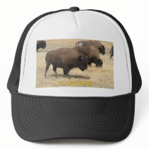 Buffalo Yellowstone Hat