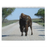 Buffaloed! Calendar