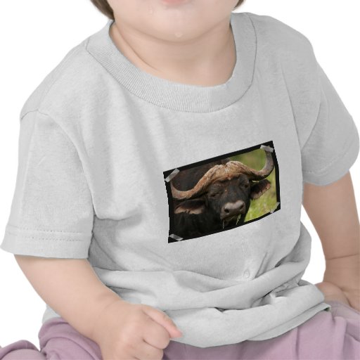 buffao-17.jpg tshirts