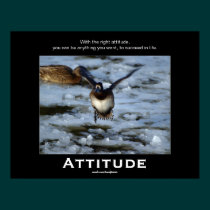 Bufflehead Duck Attitude  Motivational Posters posters