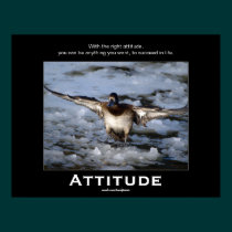 Bufflehead Duck Attitude  Motivational Posters posters