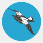 Bufflehead Sketch Round Sticker
