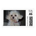 Buffy  postage