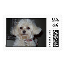 Buffy postage by rshean Buffy postage